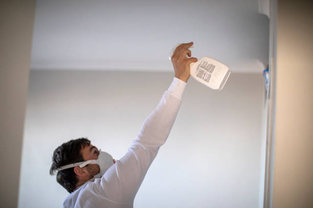 Best Residential Mold Removal  in Warsaw, IN