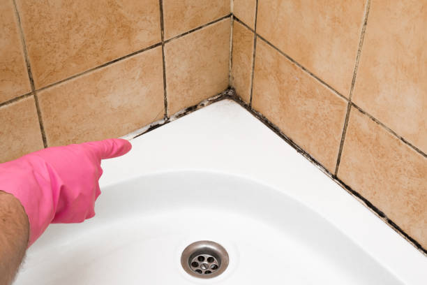 Certified Mold Removal in Warsaw, IN